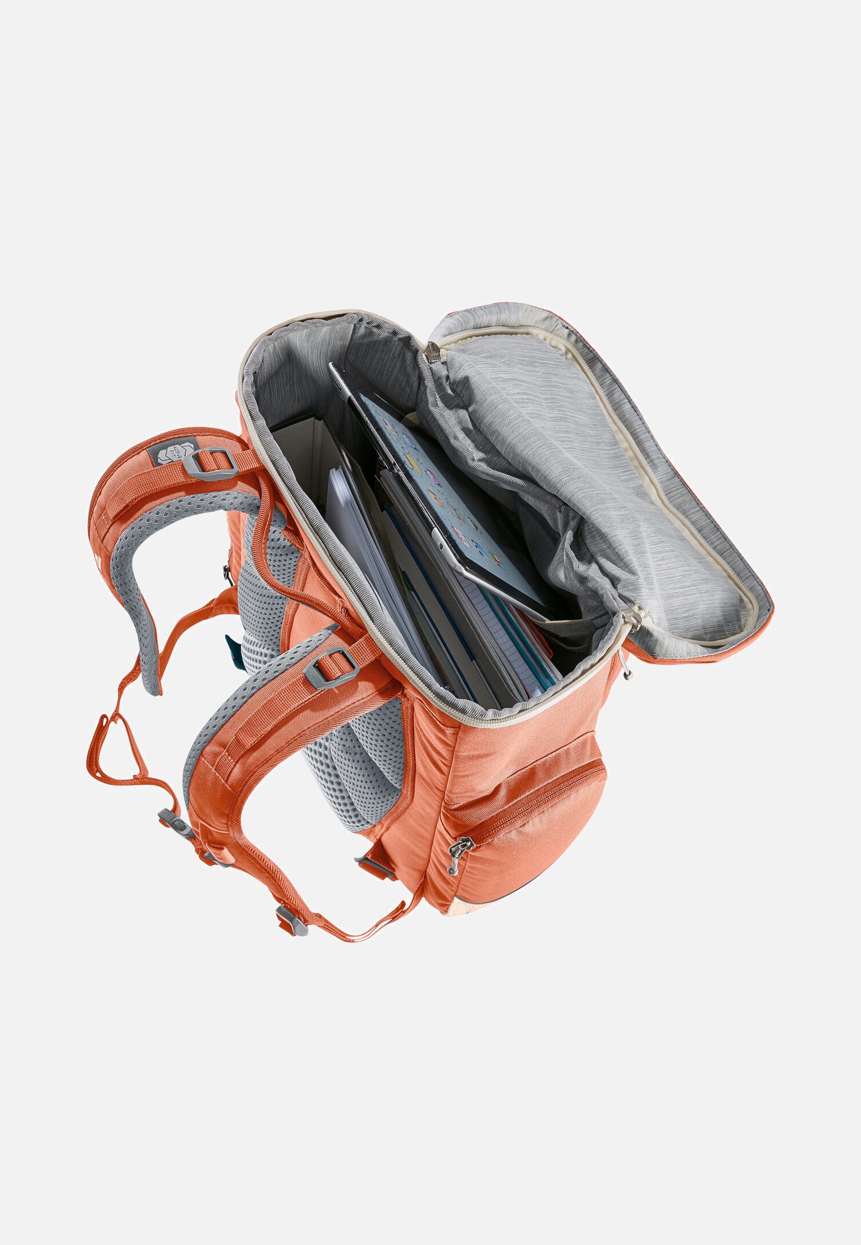 Deuter - Scula Chestnut/Blush - Backpack | Neutral-Image