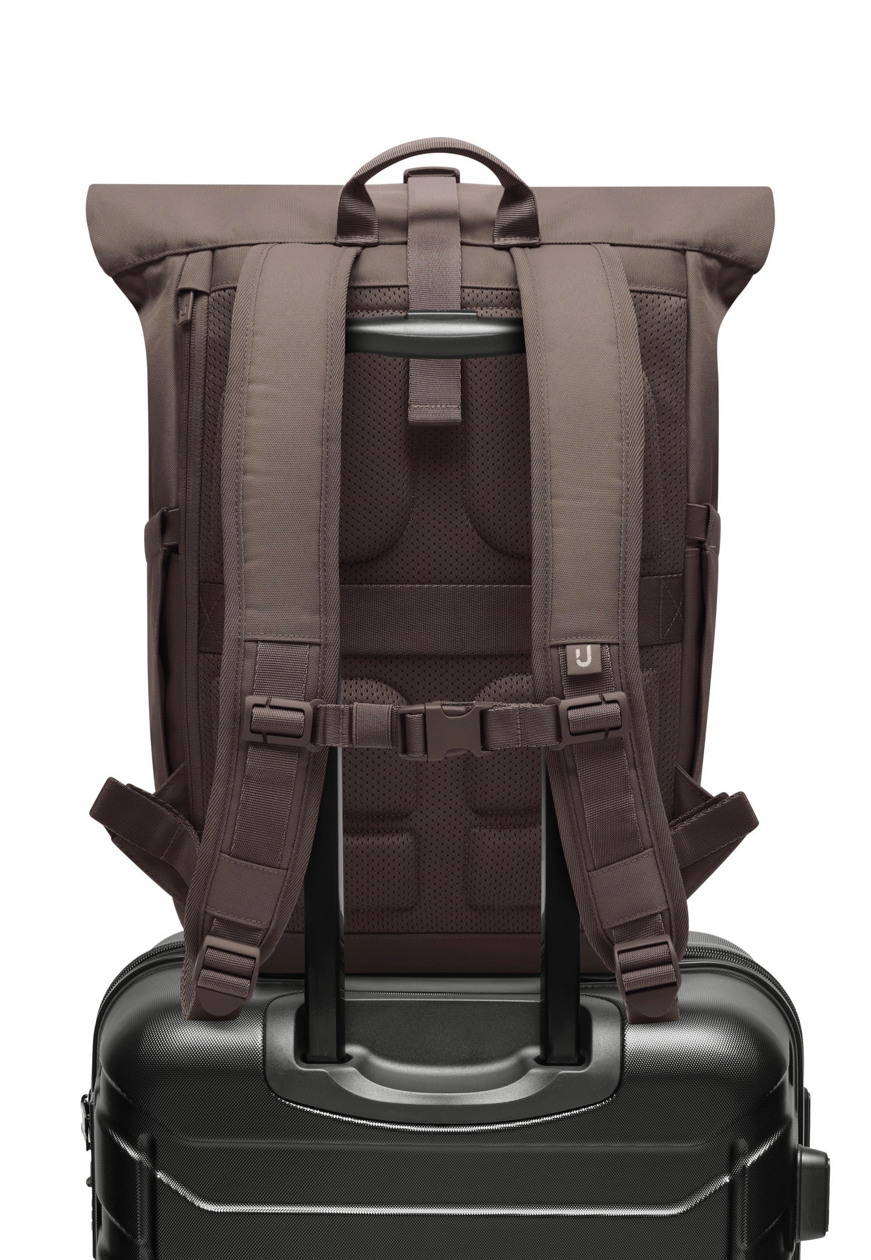 Johnny Urban Allen Medium Brown Rolltop Backpack