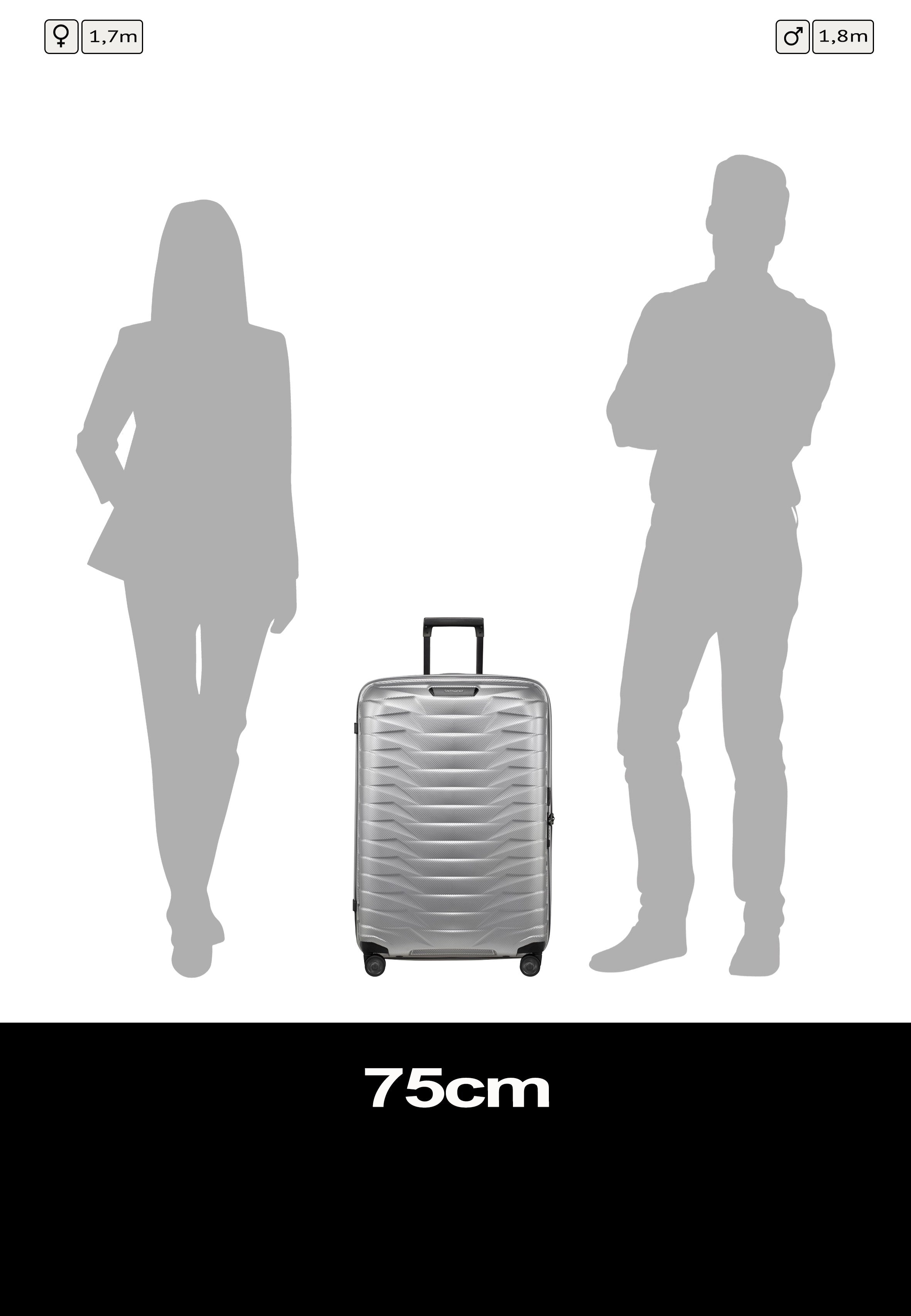 Samsonite Proxis Spinner 75/28 Silver Suitcase