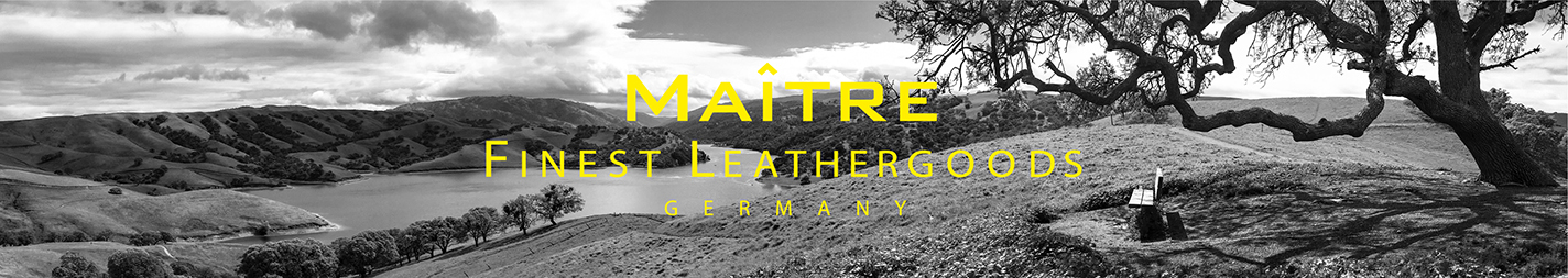 Bild von Landschaft + Logo von Maitre